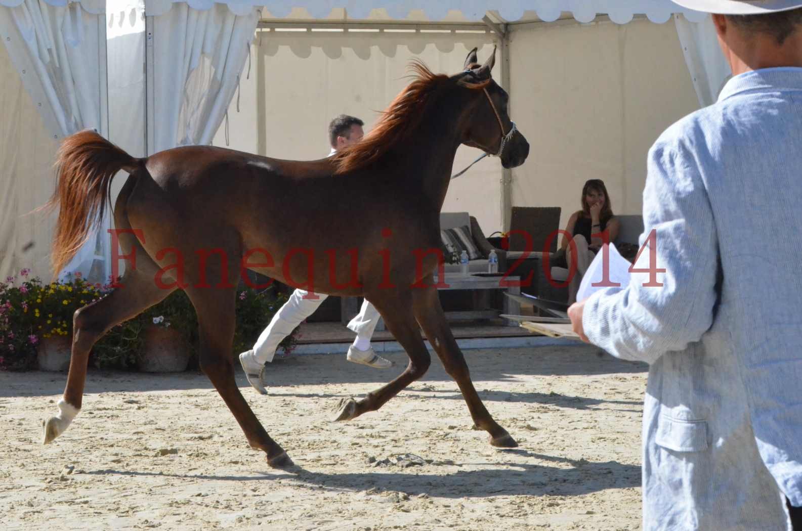 Championnat de FRANCE 2014 - Amateurs - LAMAL - 21