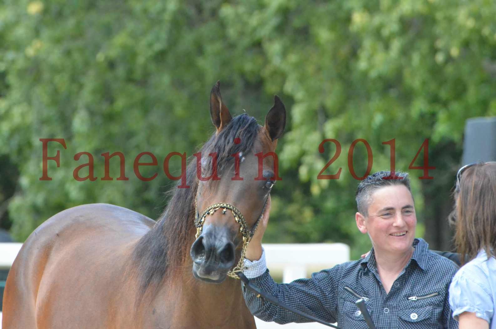 Championnat de FRANCE 2014 - Amateurs - KAL'ELLE D'ELHORIA - 93