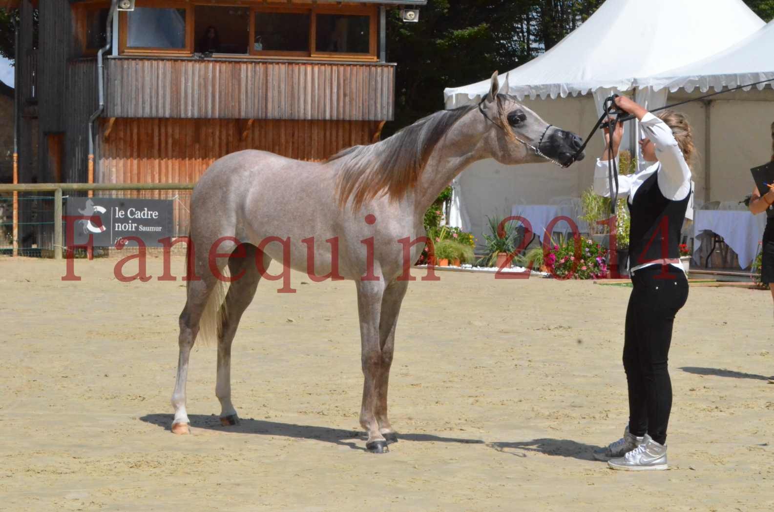 Championnat de FRANCE 2014 - Amateurs - SANA ISHANE - 58