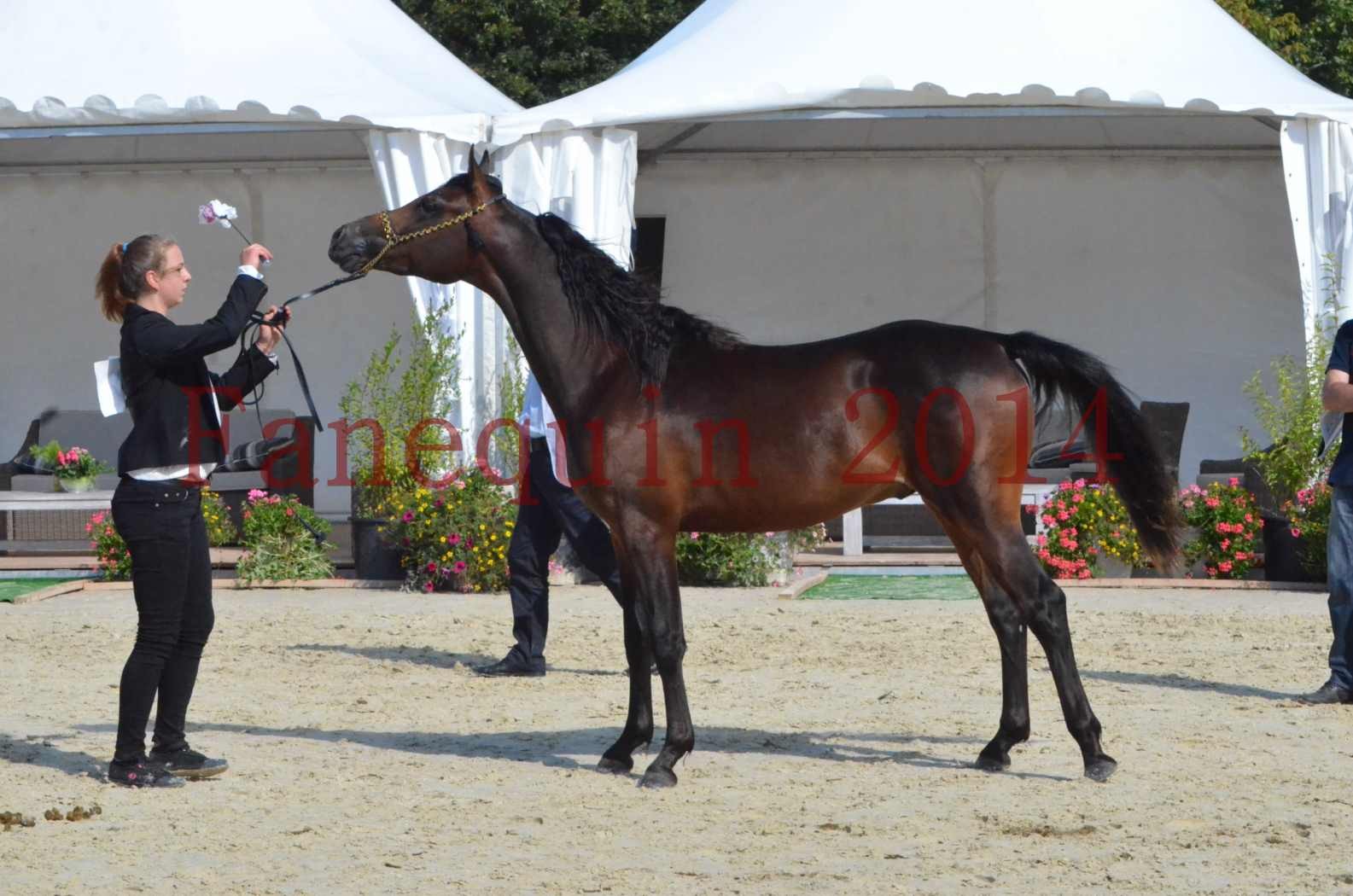 Championnat de FRANCE 2014 - Amateurs - JA KHALEB - 39