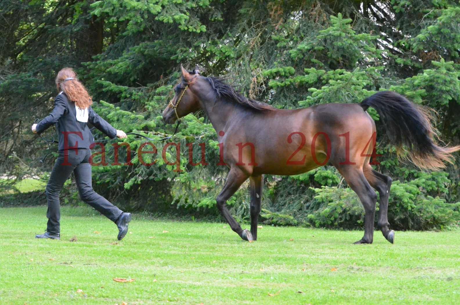 Championnat de FRANCE 2014 - Amateurs - JA KHALEB - 56