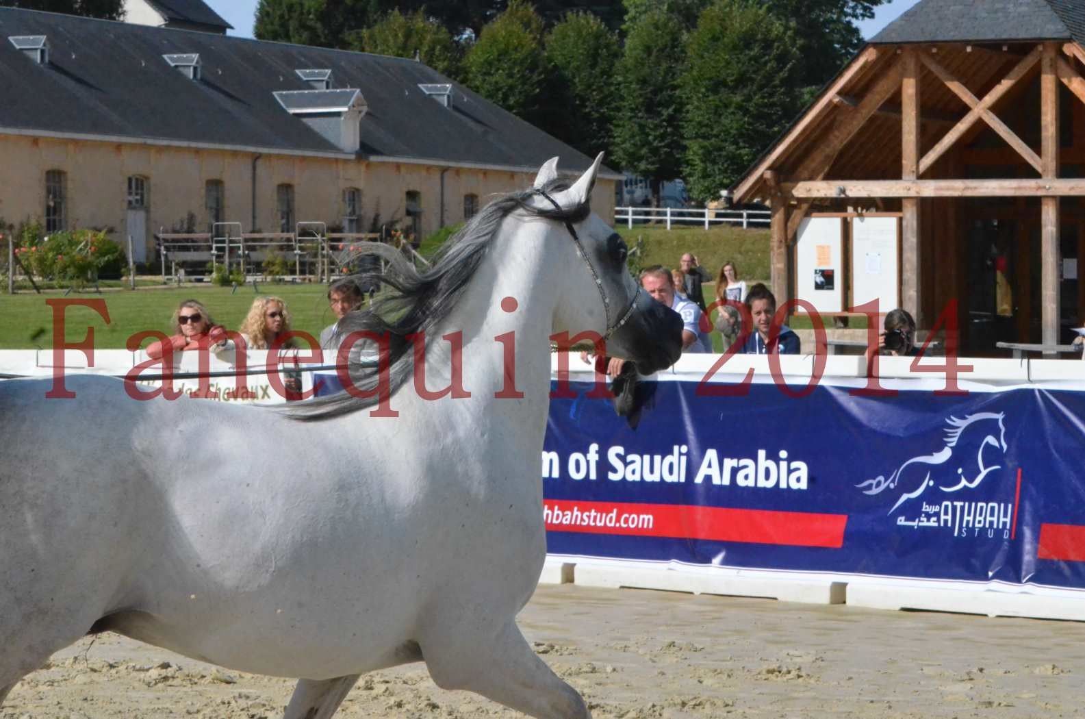 CHAMPIONNAT DE FRANCE  2014 A POMPADOUR - Sélection - SHAOLIN DE NEDJAIA - 49