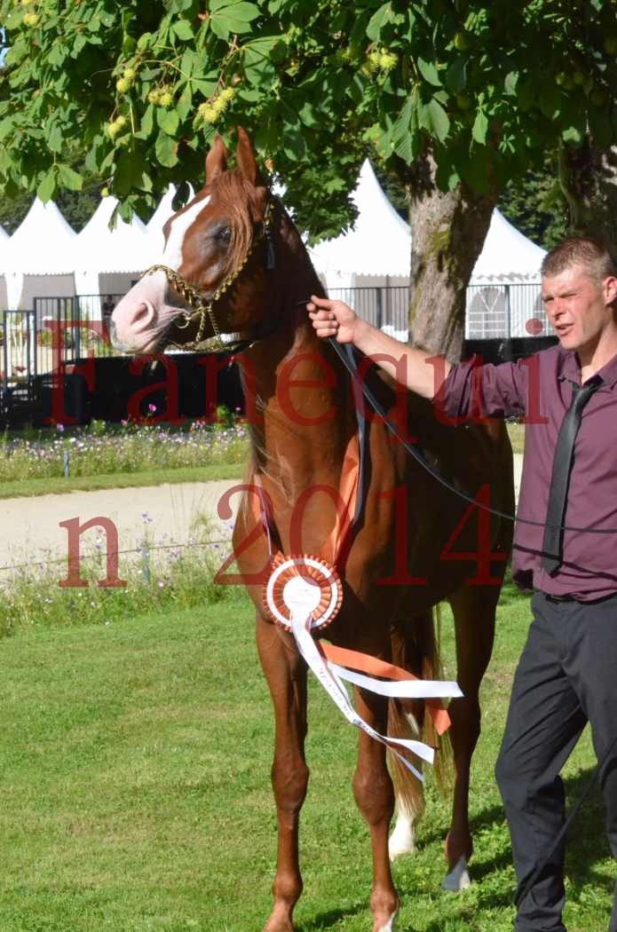 Championnat de FRANCE 2014 - Amateurs - SELECTO IBN SAMAWI - 203