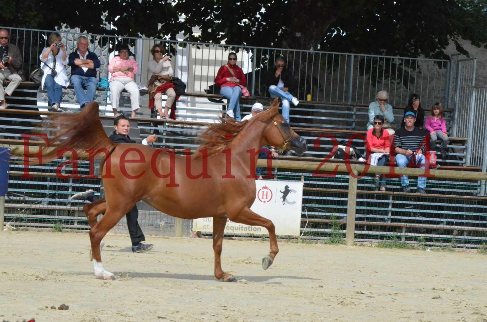 ﻿CHAMPIONNAT DE FRANCE 2014 A POMPADOUR - Championnat - KINSHASA JA - 17