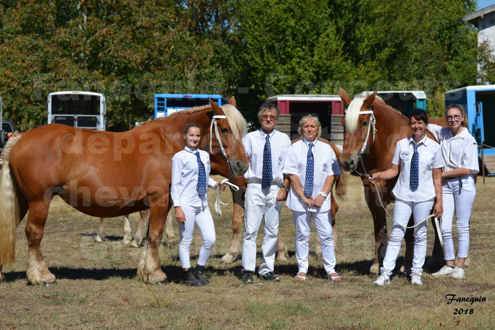 Concours départemental de chevaux de traits à GRAULHET en 2018 - Elevage POUJADE - Notre Sélection - 02