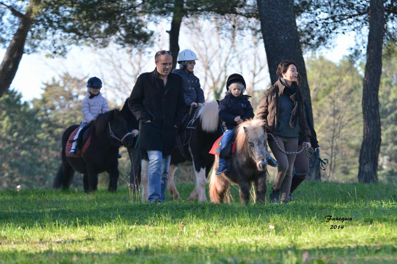 Marchés de Noël 2014 - Promenades en Poneys à Pignan - 17