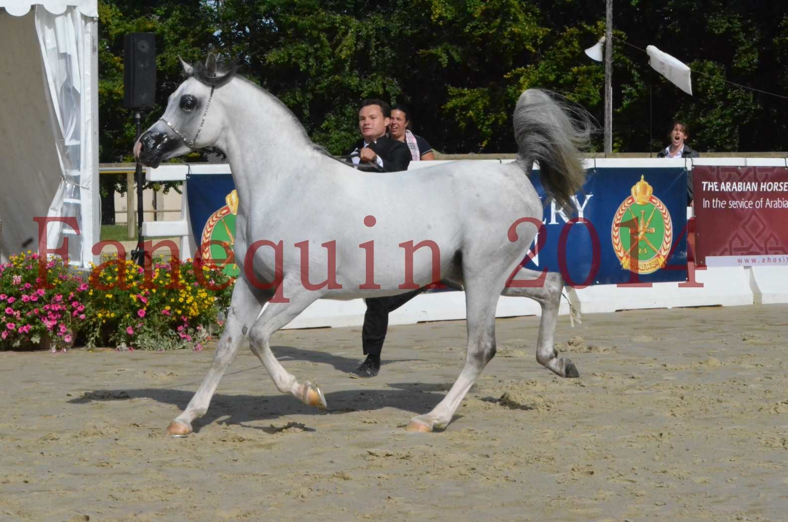 CHAMPIONNAT DE FRANCE  2014 A POMPADOUR - Sélection - SHAOLIN DE NEDJAIA - 21