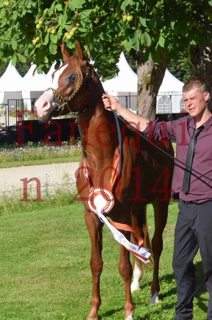 Championnat de FRANCE 2014 - Amateurs - SELECTO IBN SAMAWI - 202