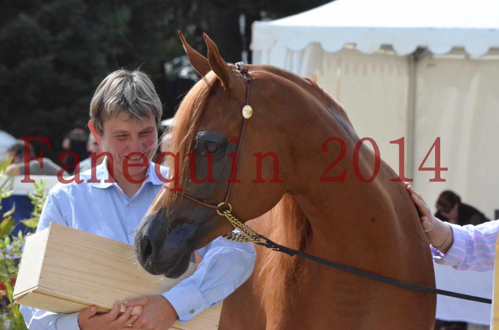 ﻿CHAMPIONNAT DE FRANCE 2014 A POMPADOUR - Championnat - KINSHASA JA - 65