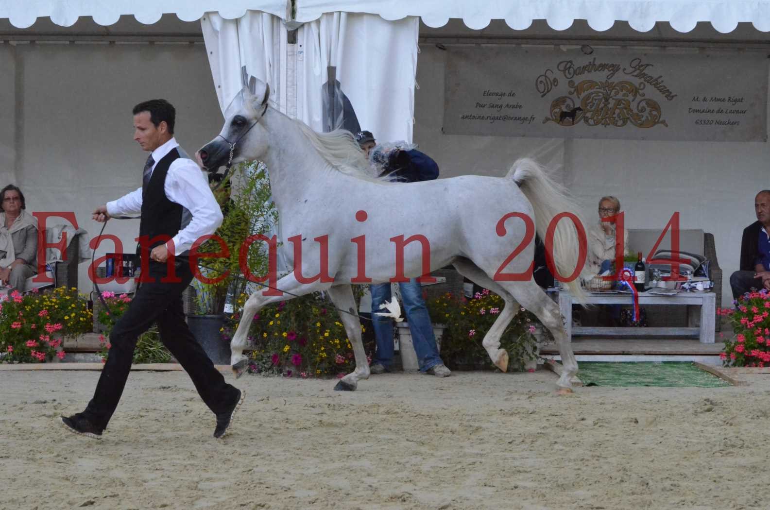 CHAMPIONNAT DE FRANCE 2014 A POMPADOUR - Sélection - FA STARLIGHT - 17