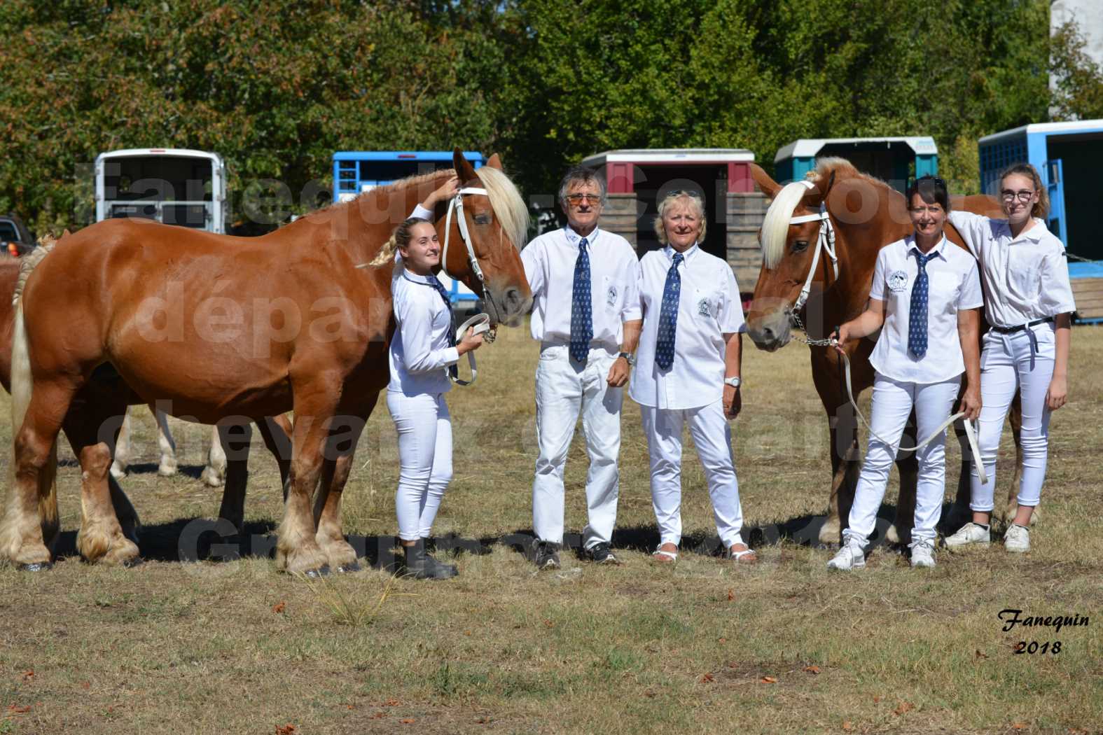 Concours départemental de chevaux de traits à GRAULHET en 2018 - Elevage POUJADE - Notre Sélection - 03