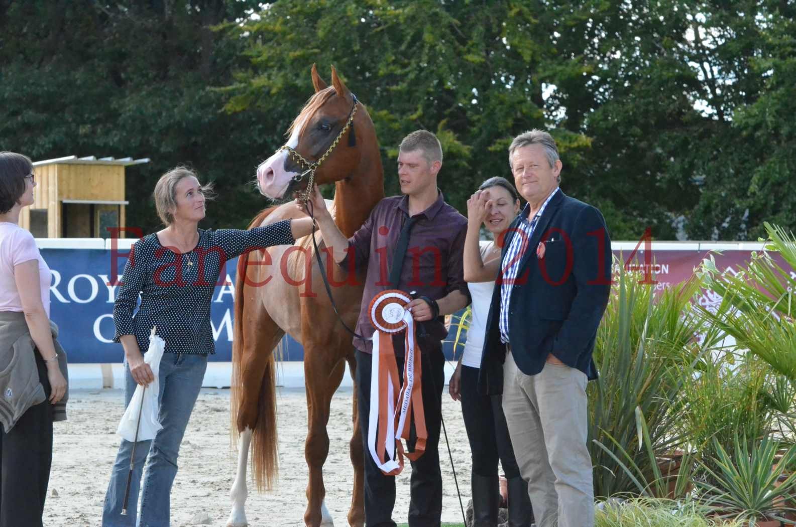 Championnat de FRANCE 2014 - Amateurs - SELECTO IBN SAMAWI - 098