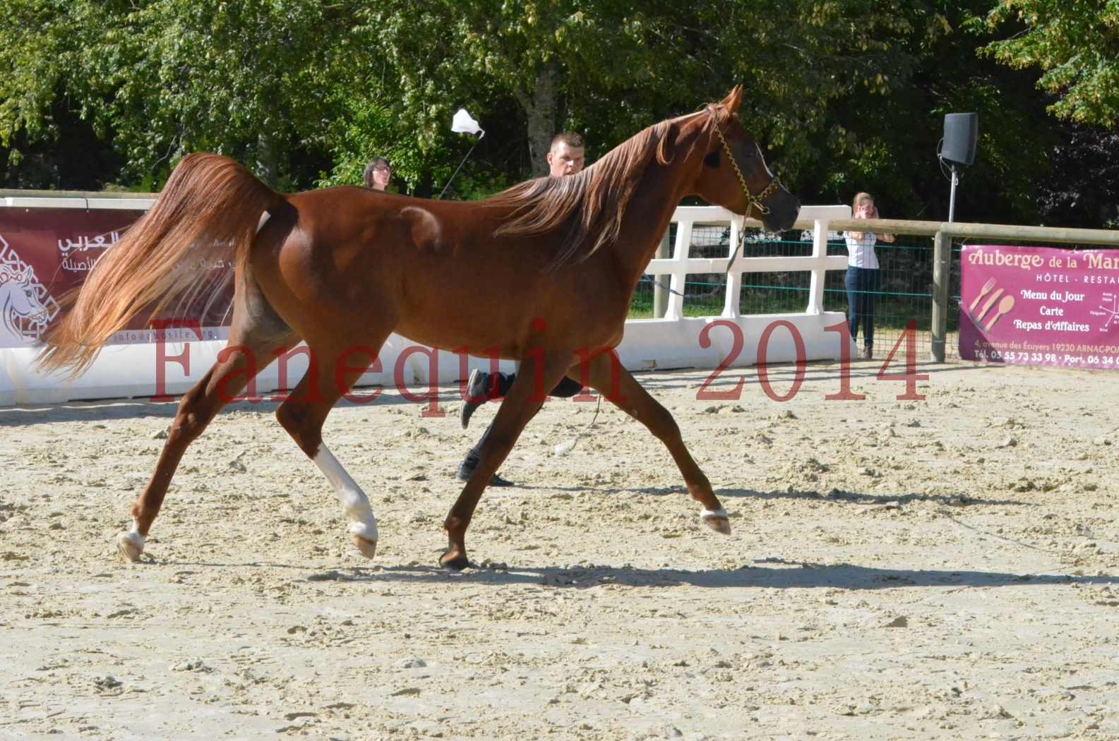 Championnat de FRANCE 2014 - Amateurs - SELECTO IBN SAMAWI - 039