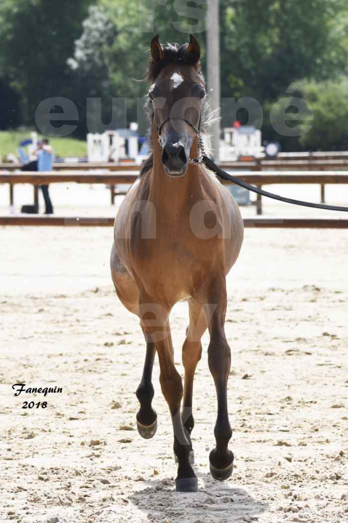 BO AS PRINCE SHAKAR en 2018