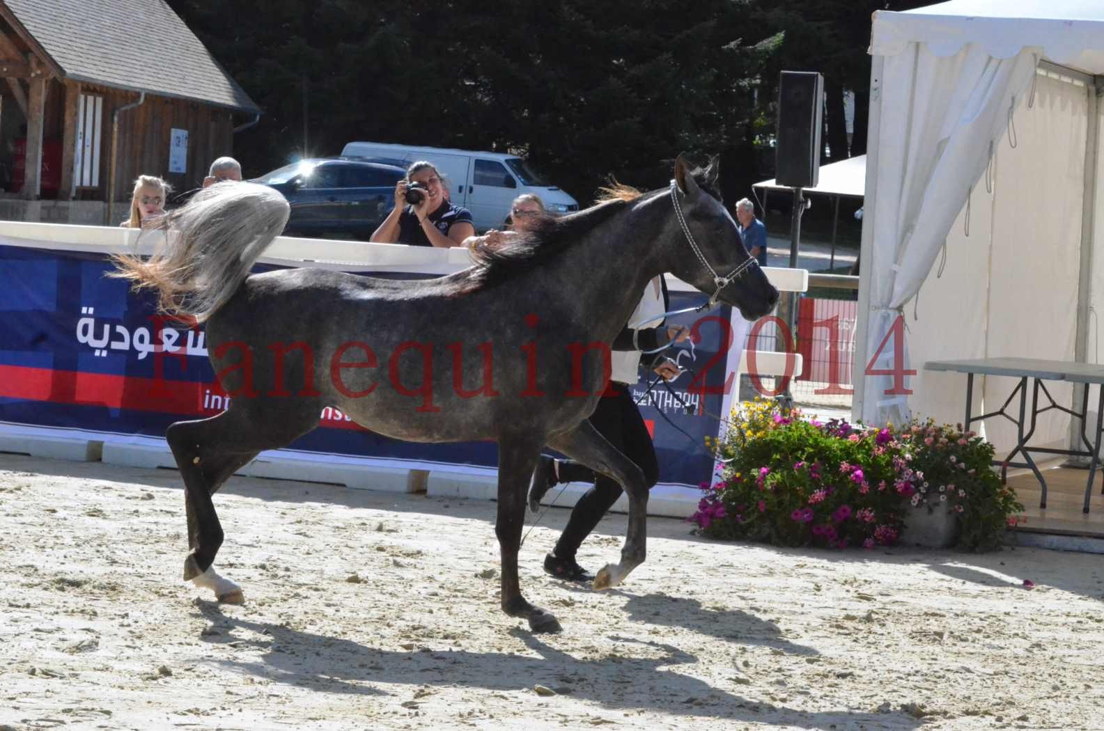 Championnat de FRANCE 2014 - Amateurs - CHTI KAID D'AUBIN - 32