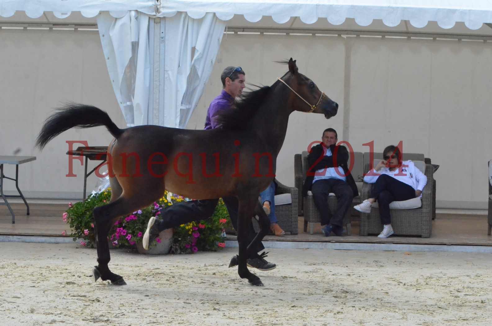 Championnat de FRANCE 2014 - Amateurs - SH FARAJAA - 15