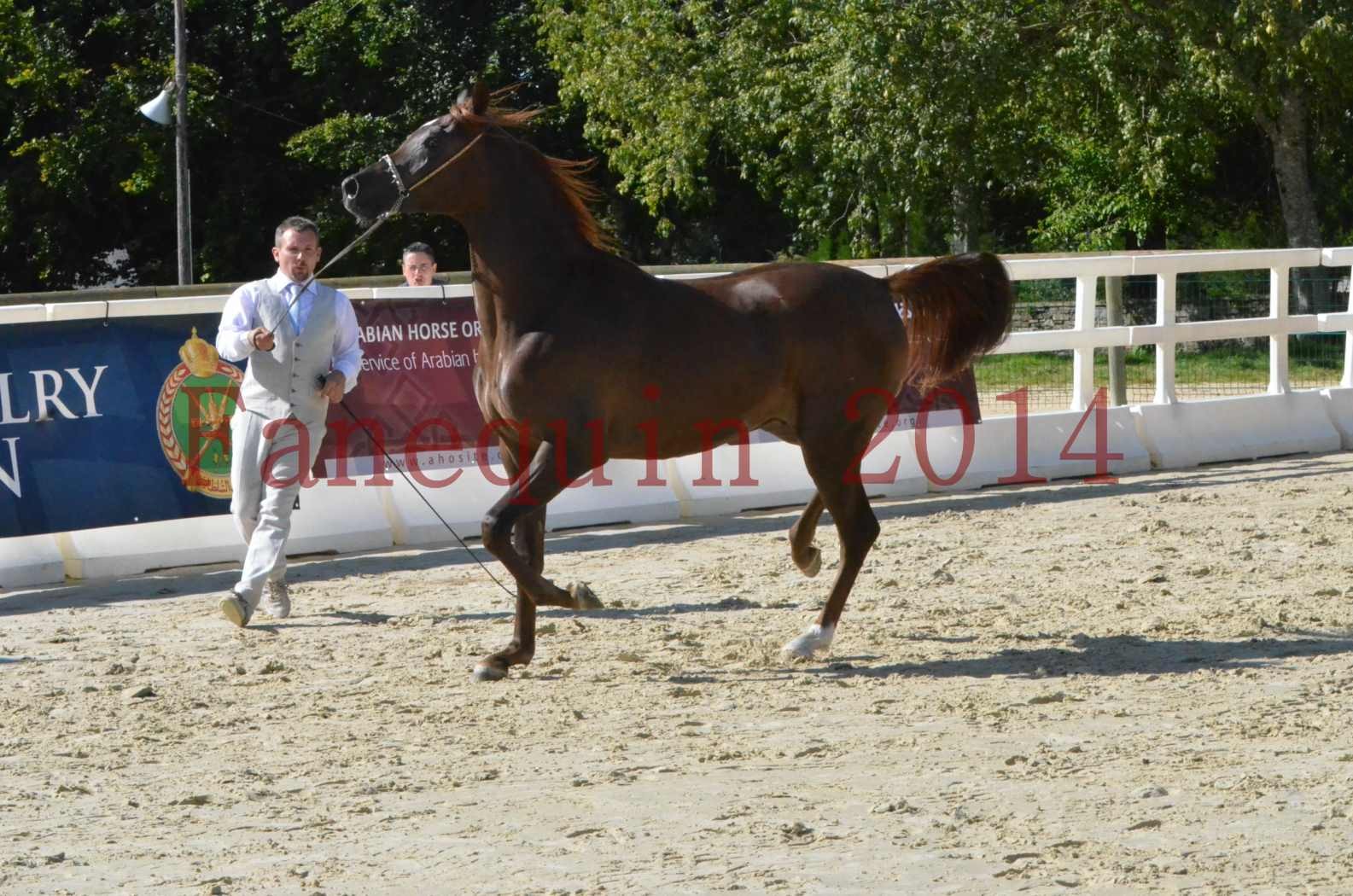 Championnat de FRANCE 2014 - Amateurs - LAMAL - 47