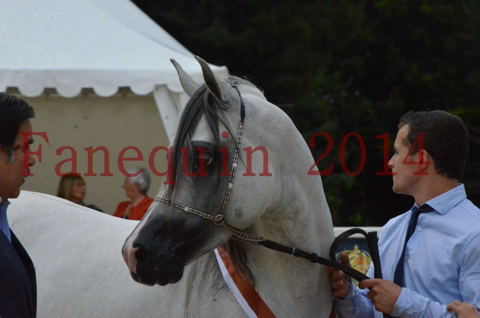 CHAMPIONNAT DE FRANCE  2014 A POMPADOUR - Championnat - SHAOLIN DE NEDJAIA - 33