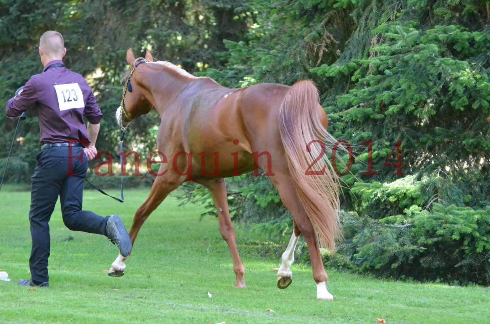 Championnat de FRANCE 2014 - Amateurs - SELECTO IBN SAMAWI - 118