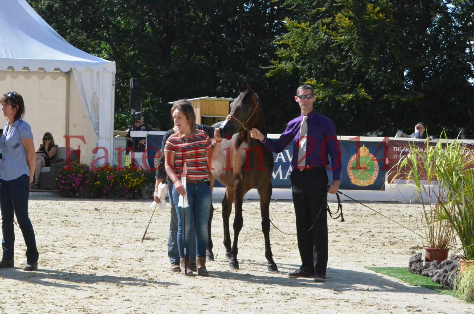 Championnat de FRANCE 2014 - Amateurs - SH FARAJAA - 54