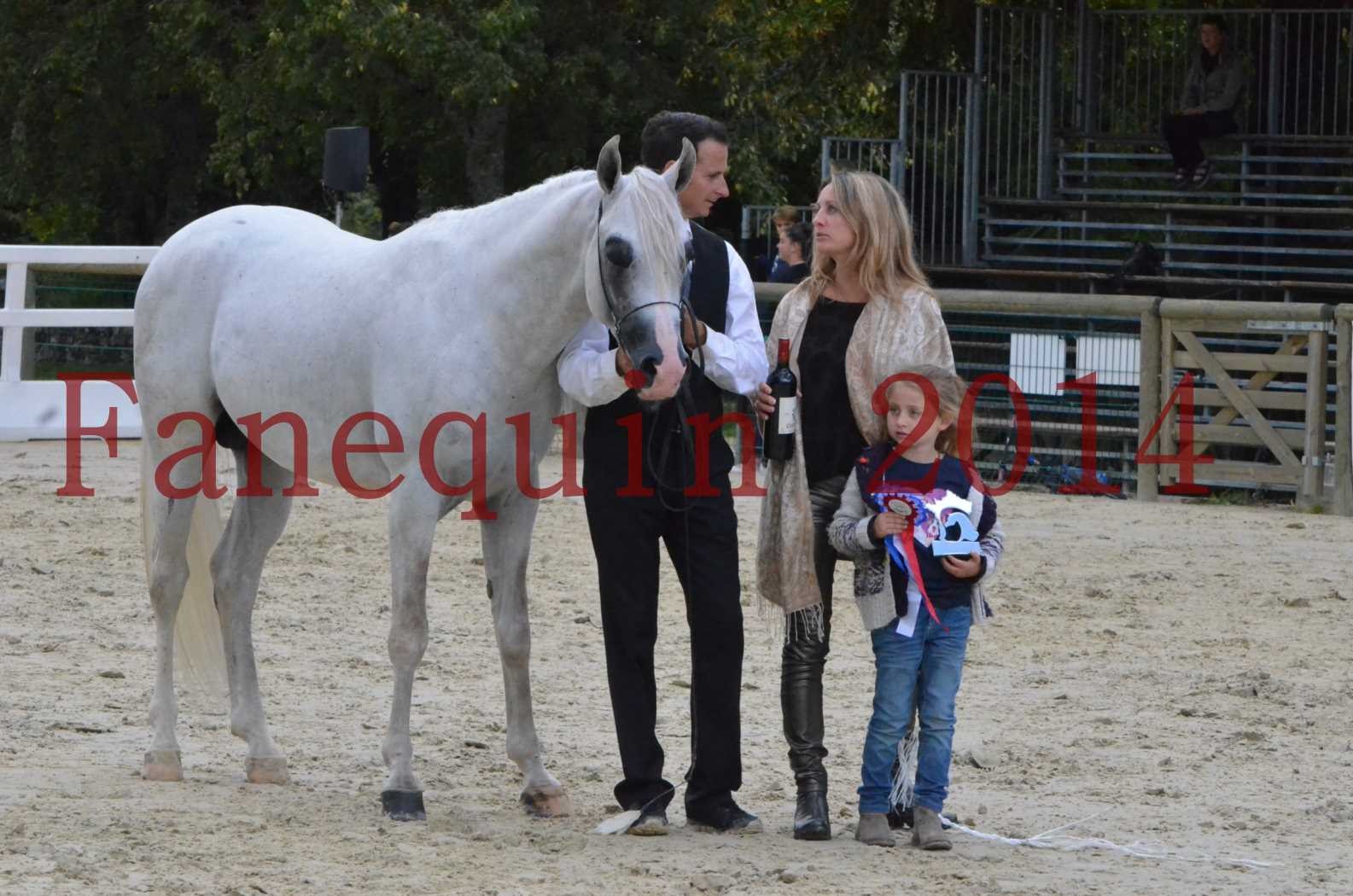 CHAMPIONNAT DE FRANCE 2014 A POMPADOUR - Sélection - FA STARLIGHT - 18