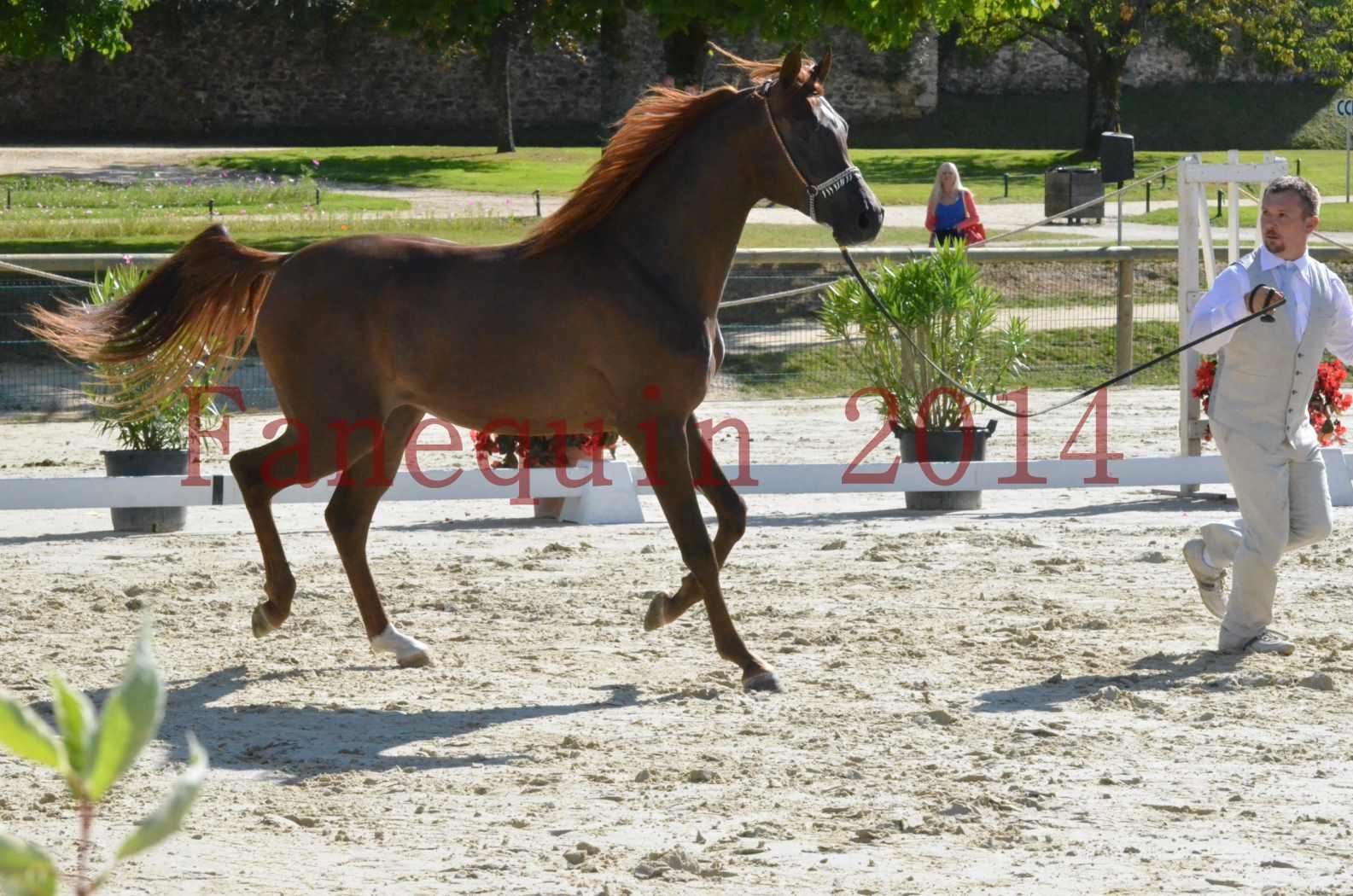 Championnat de FRANCE 2014 - Amateurs - LAMAL - 31