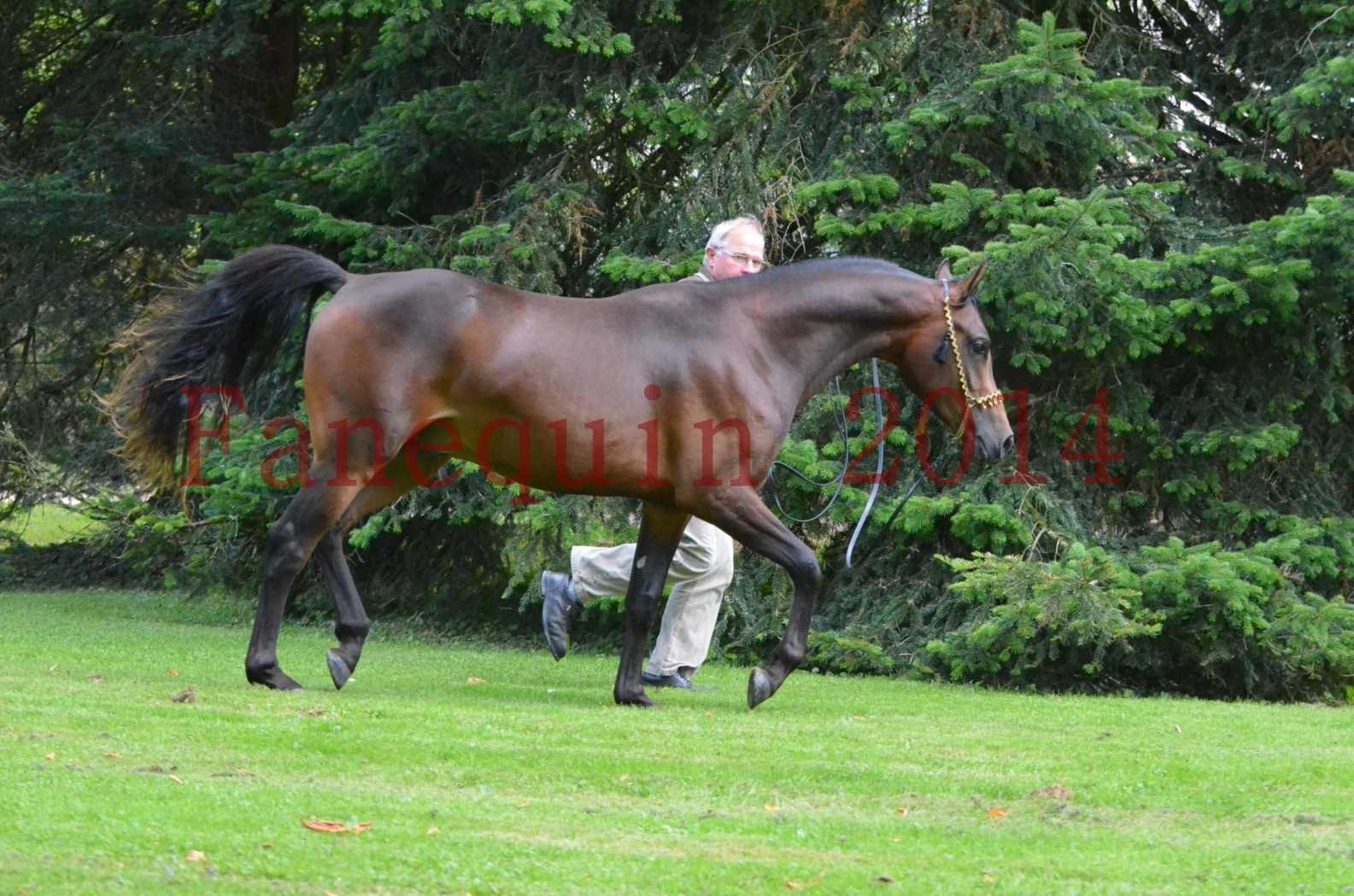 Championnat de FRANCE 2014 - Amateurs - JA KHALEB - 76