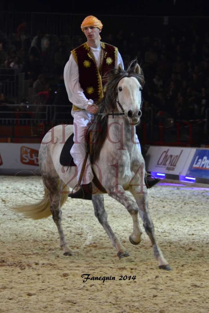 Show des races - Chevaux BARBE 19