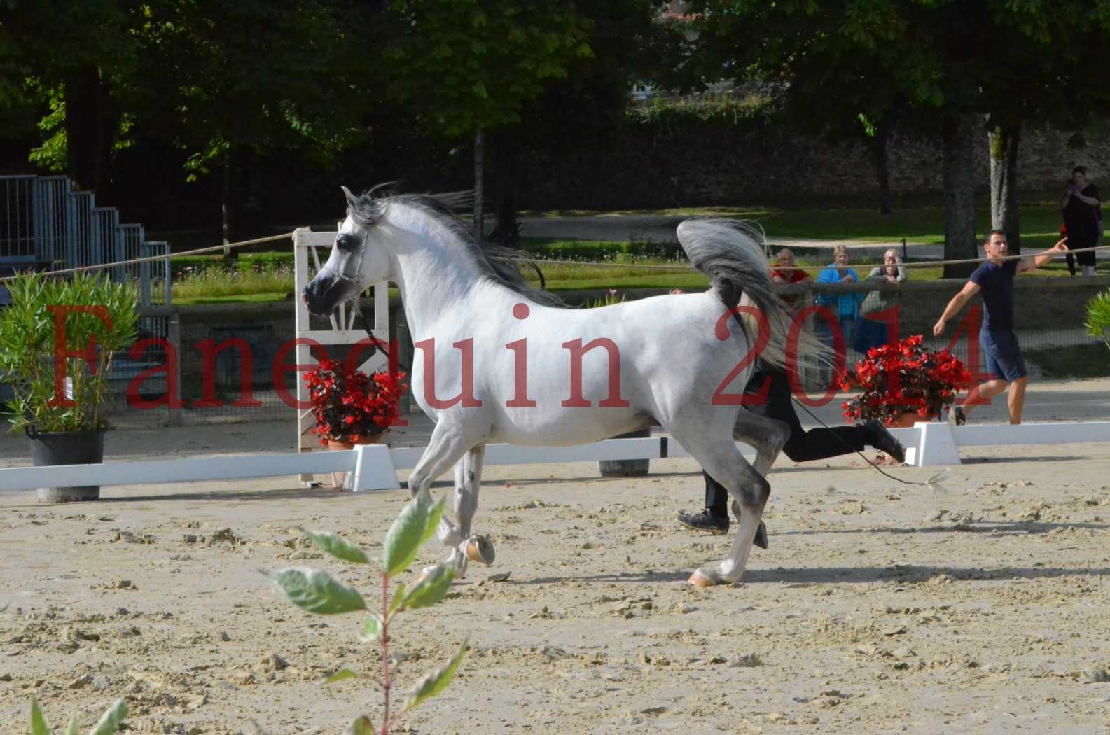 CHAMPIONNAT DE FRANCE  2014 A POMPADOUR - Sélection - SHAOLIN DE NEDJAIA - 04