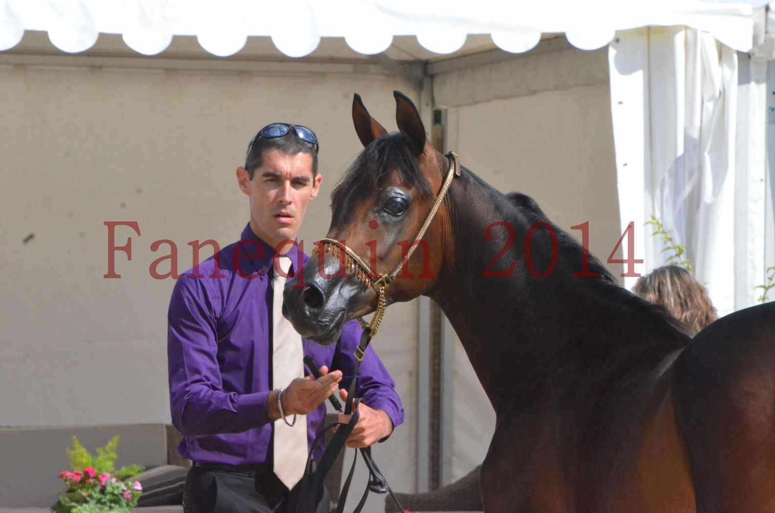 Championnat de FRANCE 2014 - Amateurs - SH FARAJAA - 42