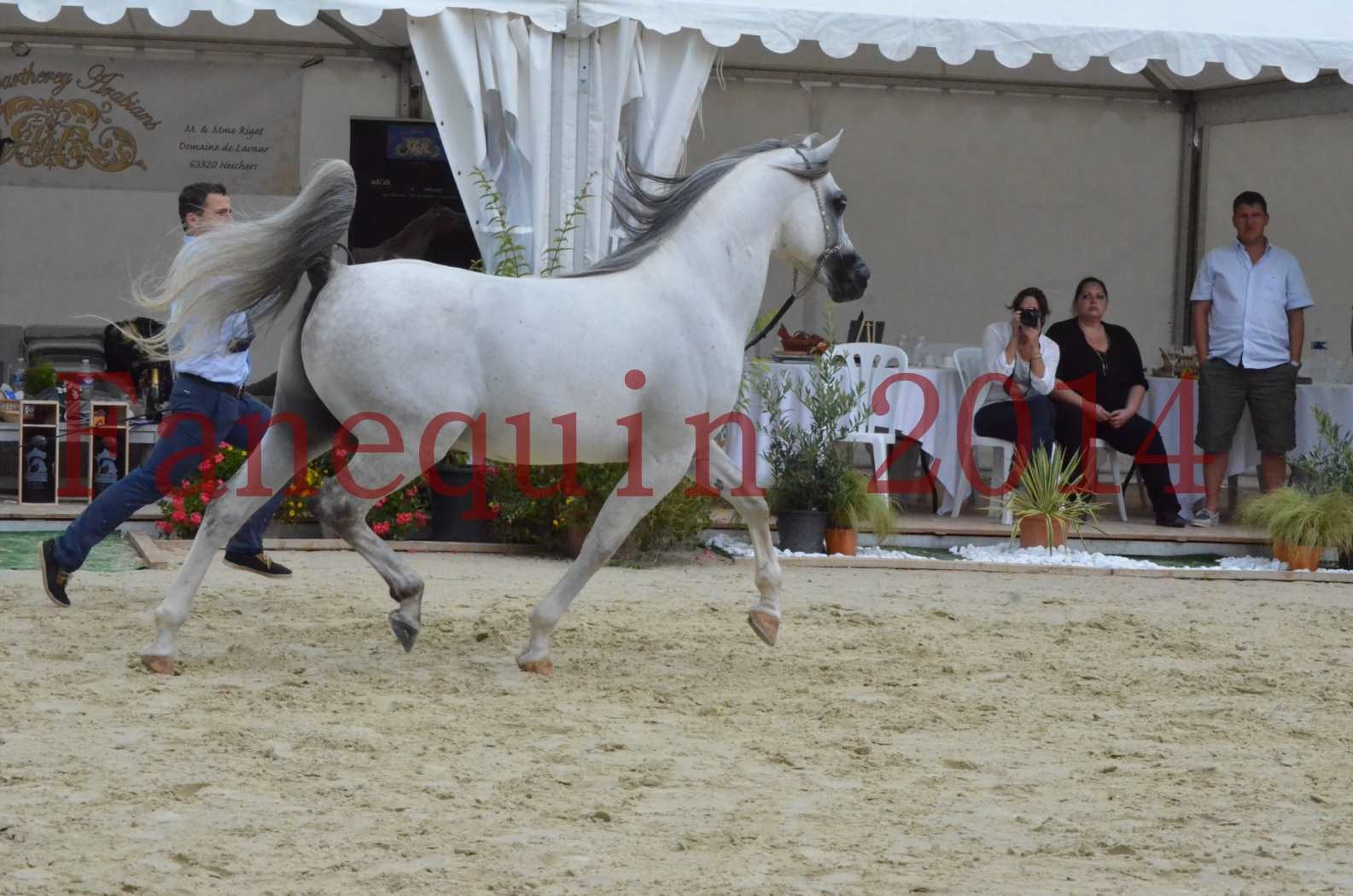 CHAMPIONNAT DE FRANCE  2014 A POMPADOUR - Championnat - SHAOLIN DE NEDJAIA - 17