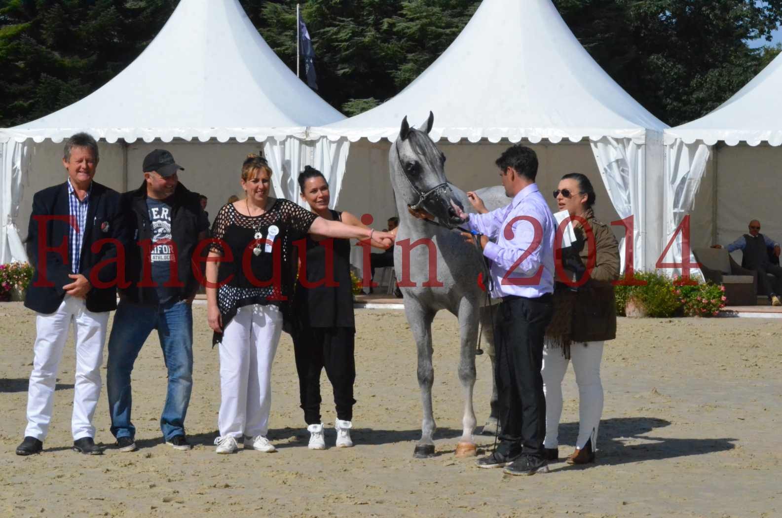 CHAMPIONNAT DE FRANCE  2014 A POMPADOUR - Sélection - SHEYK DE GARGASSAN - 21