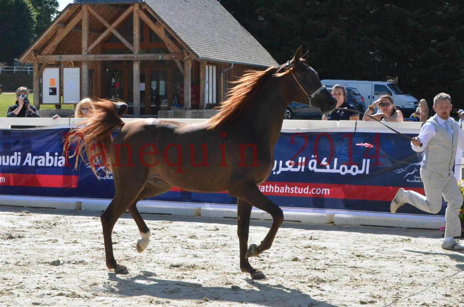 Championnat de FRANCE 2014 - Amateurs - LAMAL - 10