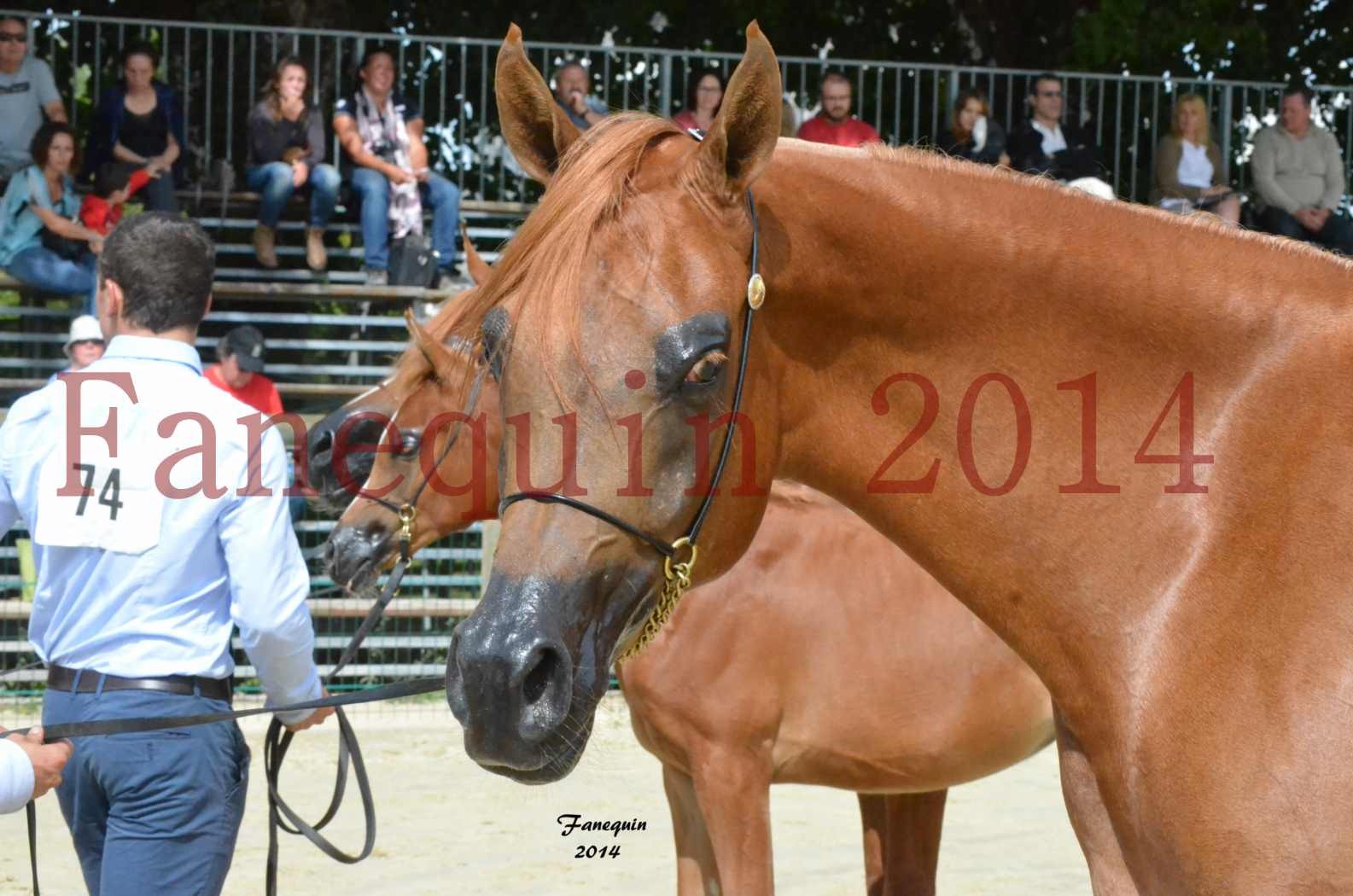 ﻿CHAMPIONNAT DE FRANCE 2014 A POMPADOUR - Notre Sélection - Portraits - LUTFINAH JA - 12