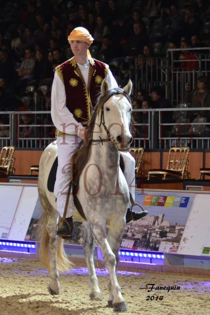 Show des races - Chevaux BARBE 09