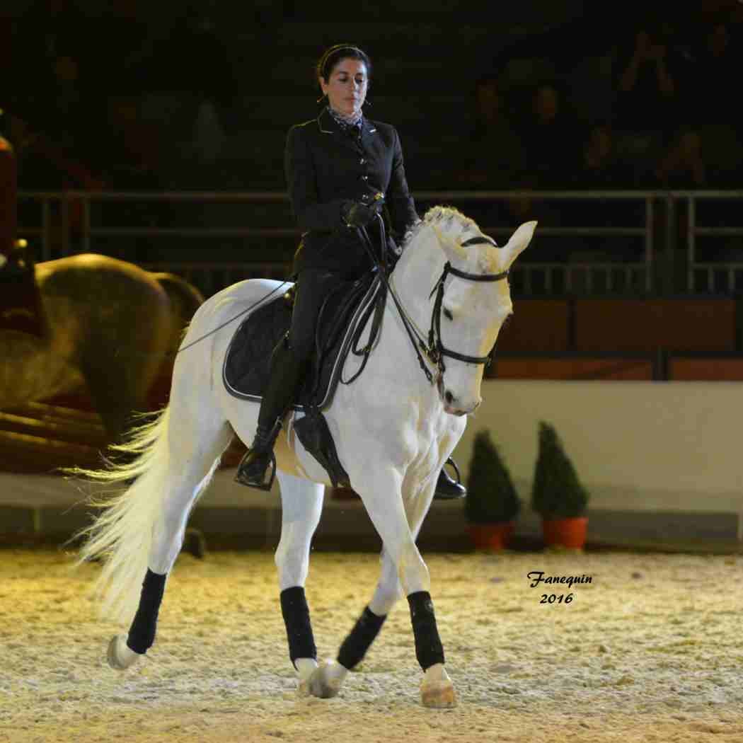 Cheval Passion 2016 - Présentation des LUSITANIENS - Ecurie de Max VENDRELL & Corinne BOUCHITTE - 43