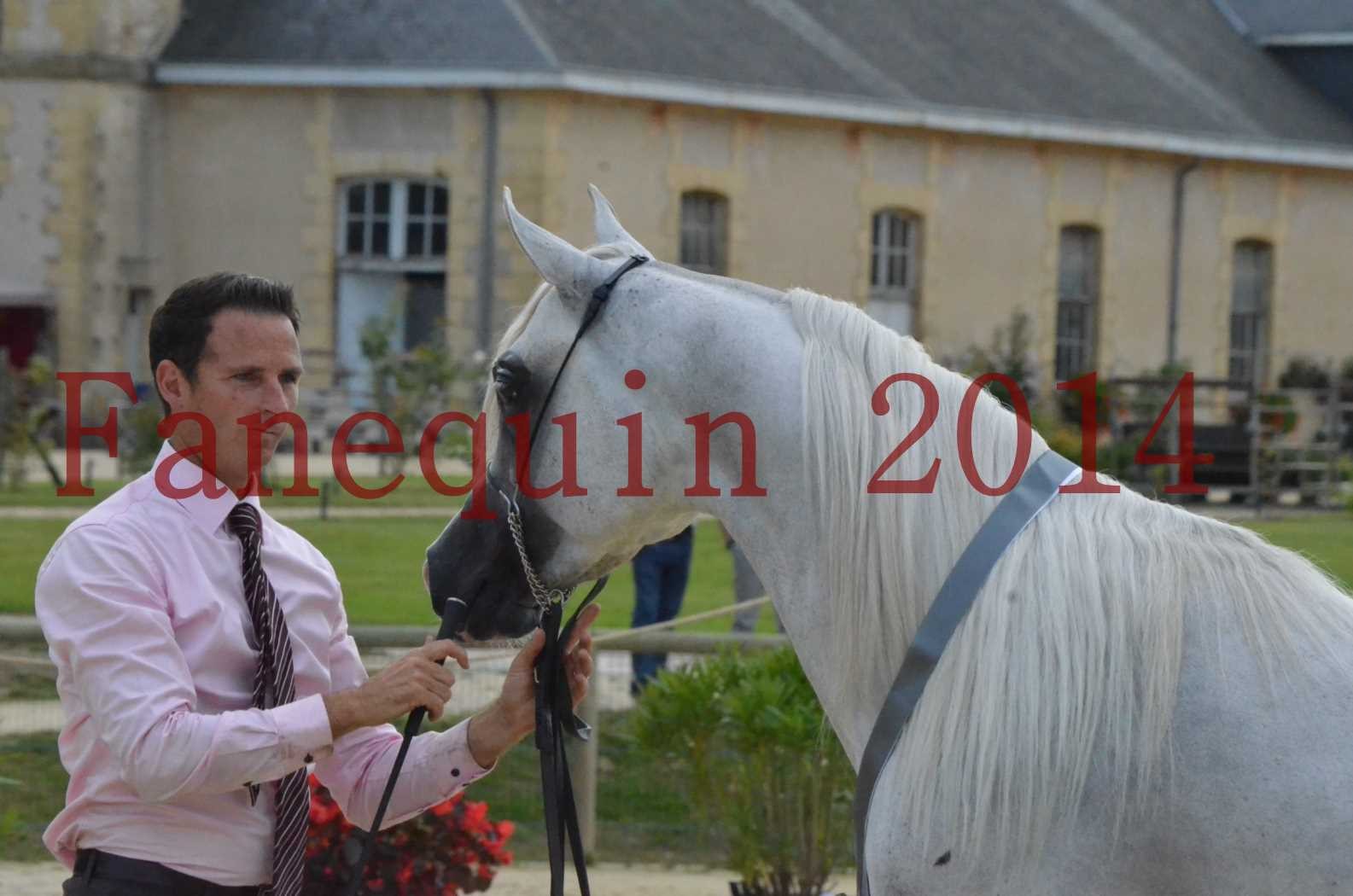 CHAMPIONNAT DE FRANCE 2014 A POMPADOUR - Championnat - FA STARLIGHT - 17