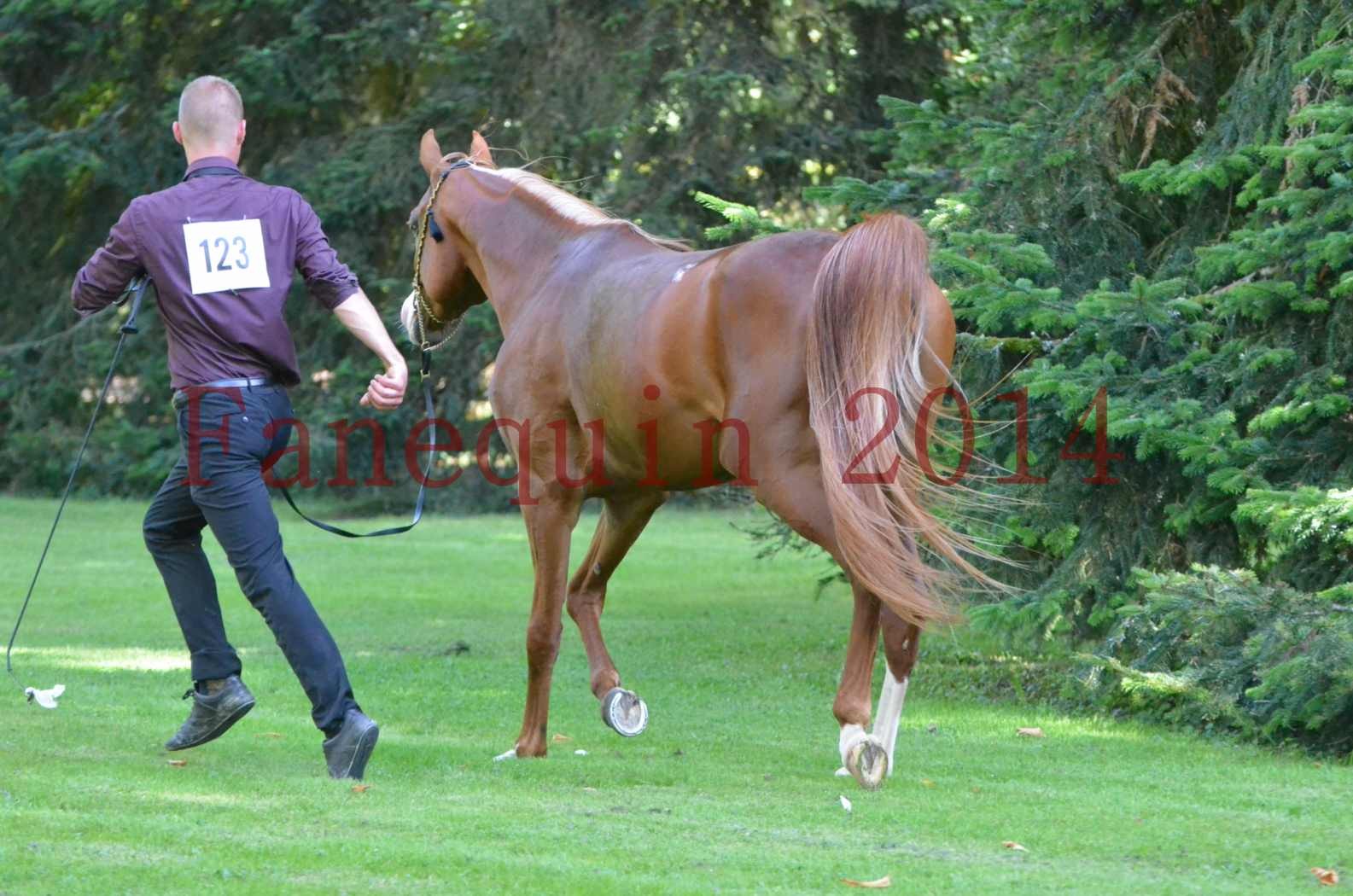 Championnat de FRANCE 2014 - Amateurs - SELECTO IBN SAMAWI - 119