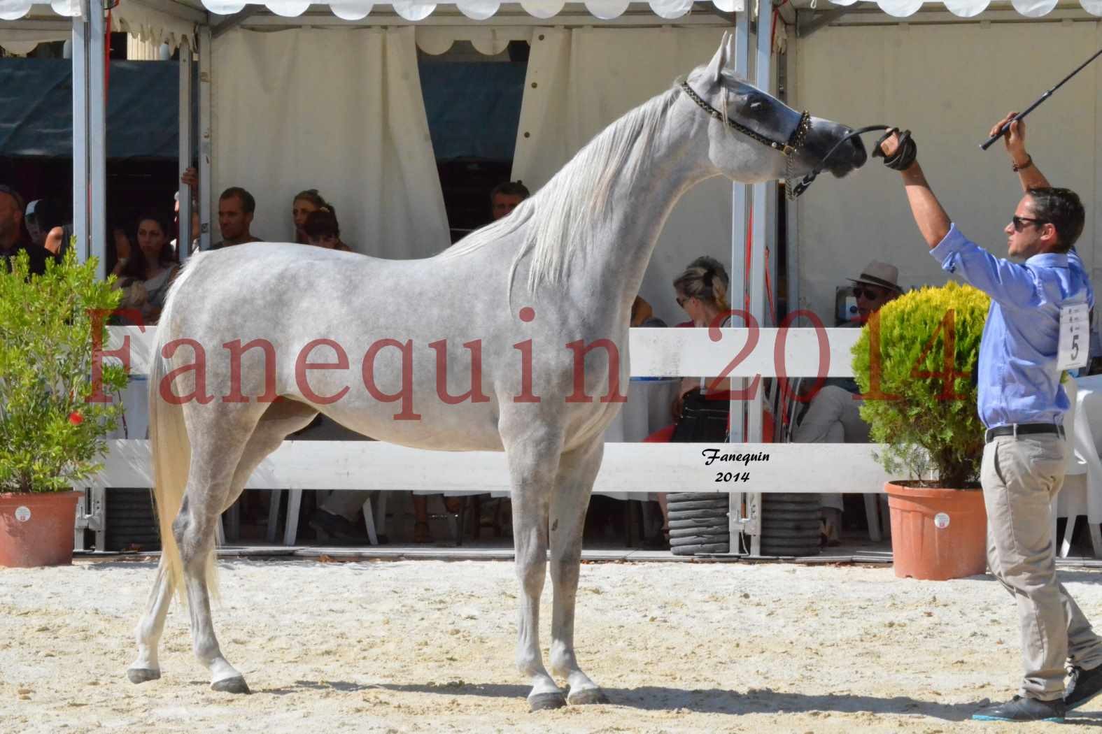 Championnat Juniors Femelles - Médaille d'ARGENT - VOLODIA DE LAFON - 07