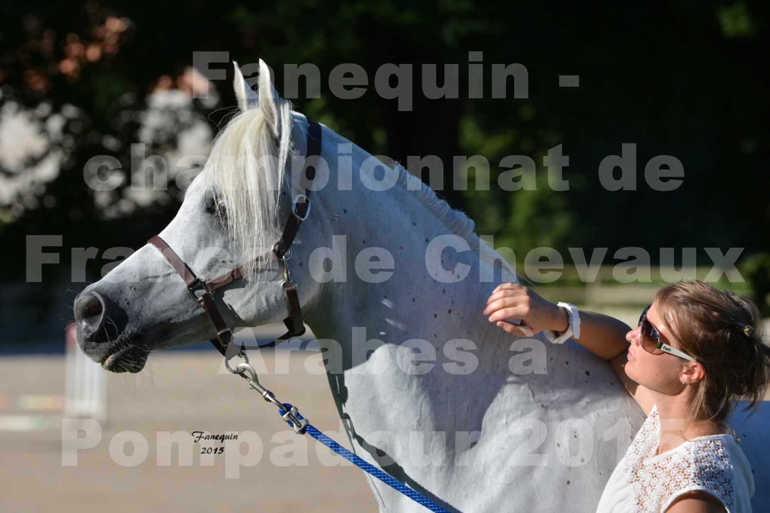 Championnat de FRANCE du cheval ARABE à POMPADOUR 2015 - Classes PROFESSIONNELS - Portraits - HAADJA - 5