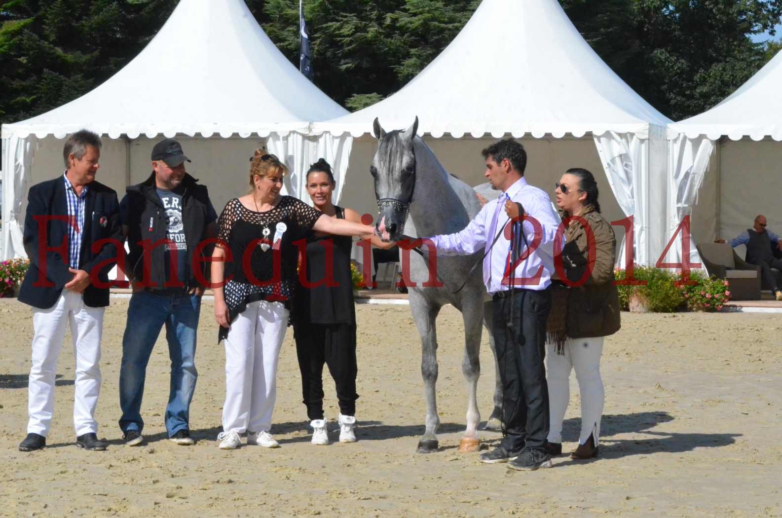 CHAMPIONNAT DE FRANCE  2014 A POMPADOUR - Sélection - SHEYK DE GARGASSAN - 22