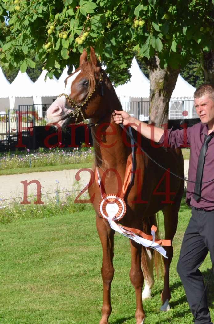 Championnat de FRANCE 2014 - Amateurs - SELECTO IBN SAMAWI - 204