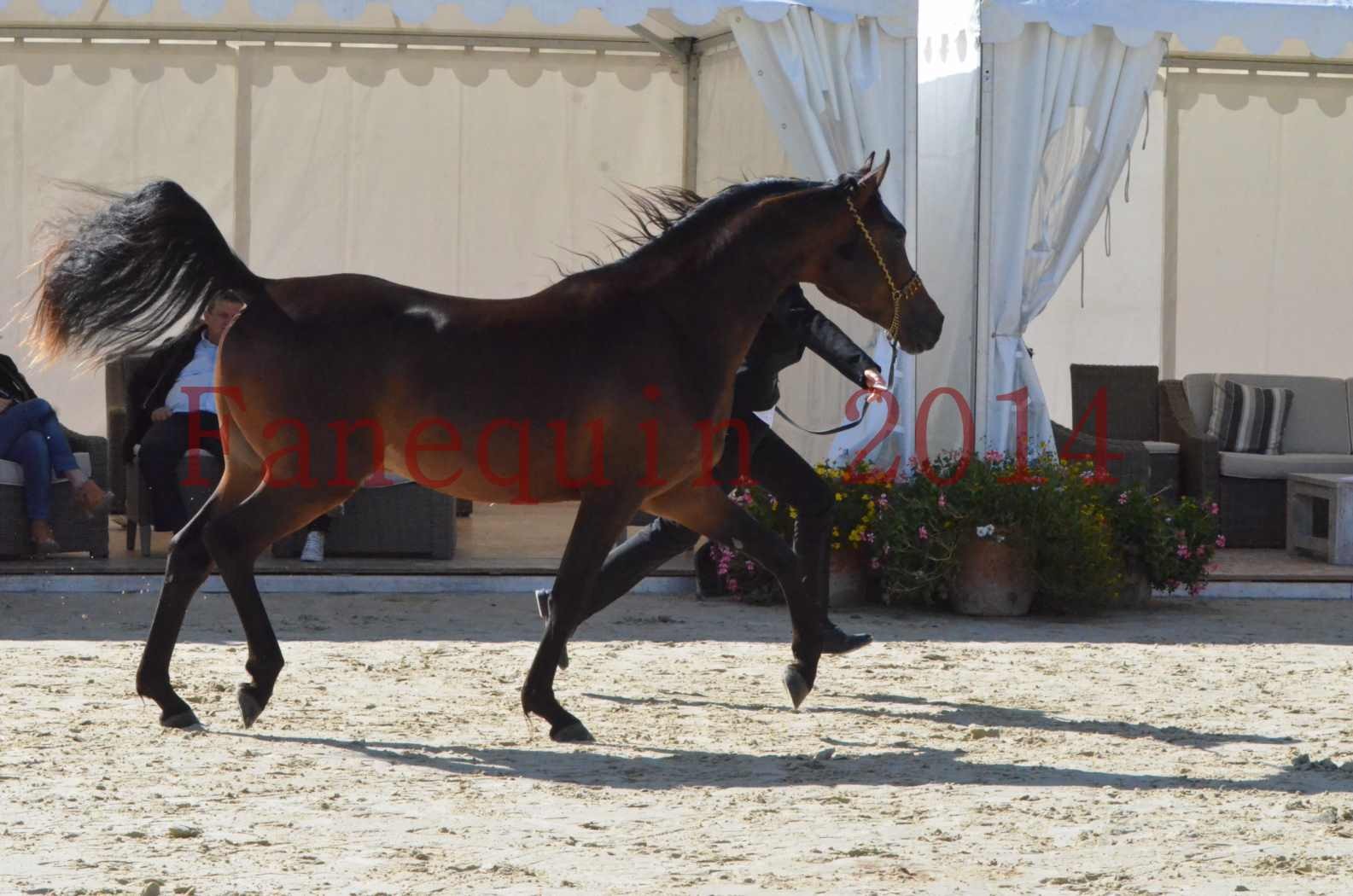 Championnat de FRANCE 2014 - Amateurs - JA KHALEB - 11