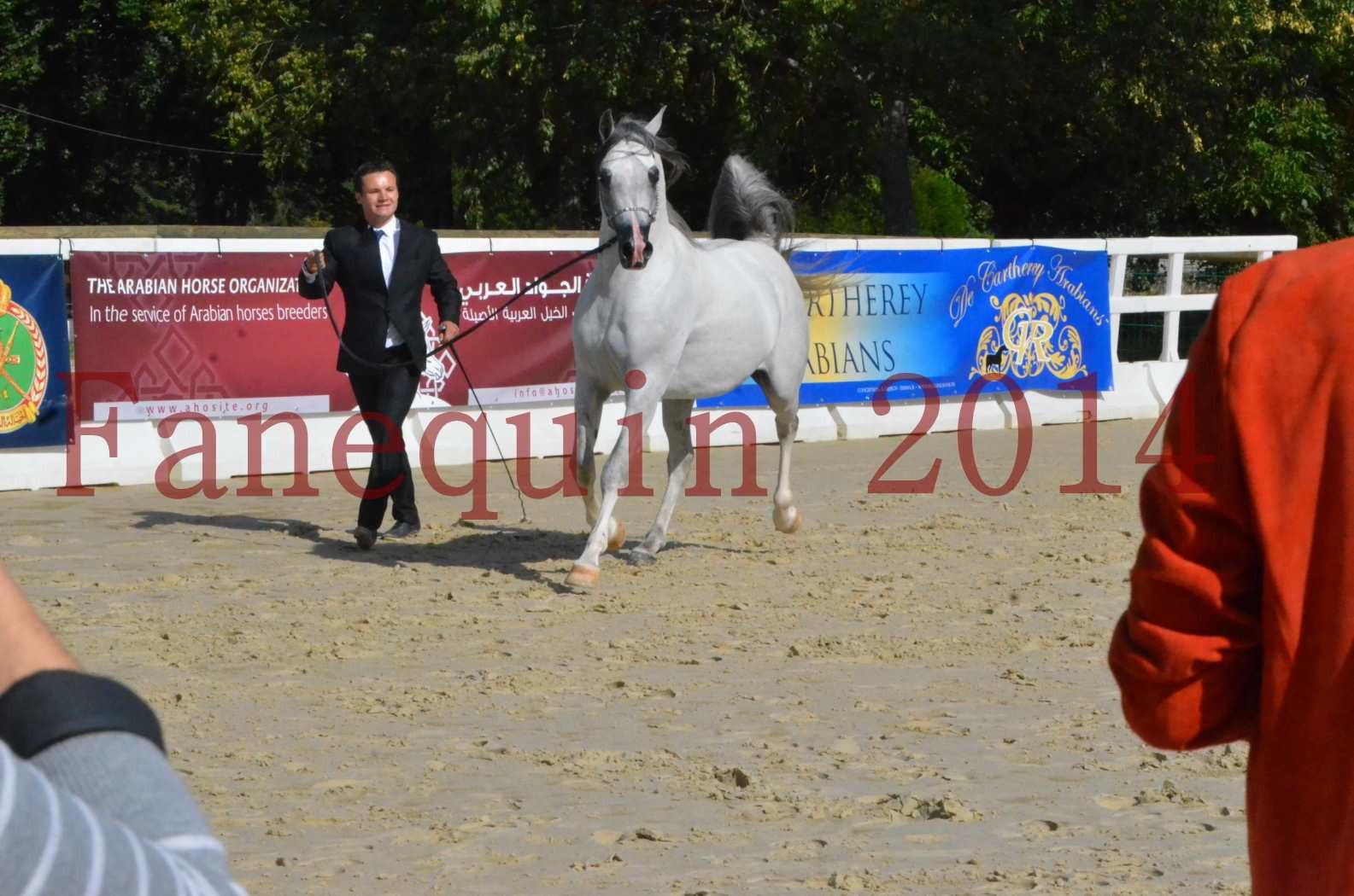 CHAMPIONNAT DE FRANCE  2014 A POMPADOUR - Sélection - SHAOLIN DE NEDJAIA - 51