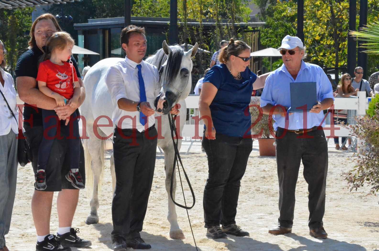 Concours National de Nîmes de chevaux ARABES 2014 - Sélection - SHAOLIN DE NEDJAIA - 88