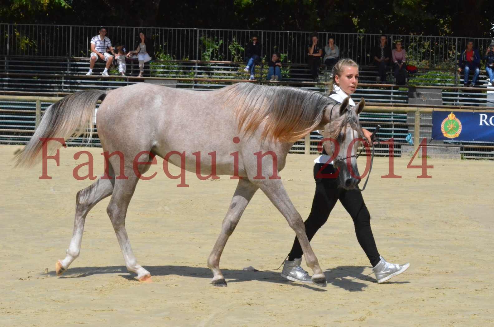 Championnat de FRANCE 2014 - Amateurs - SANA ISHANE - 51