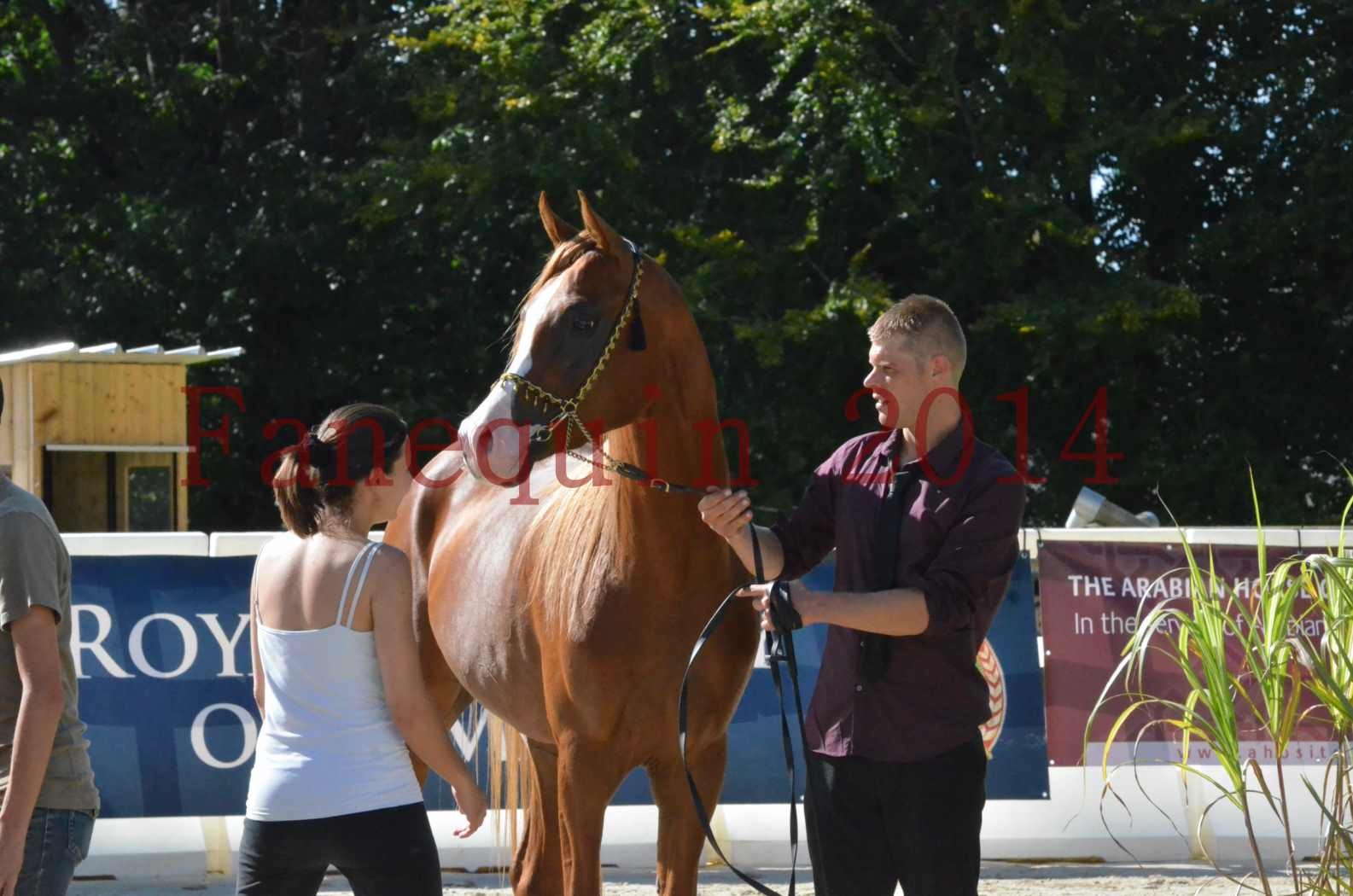 Championnat de FRANCE 2014 - Amateurs - SELECTO IBN SAMAWI - 080