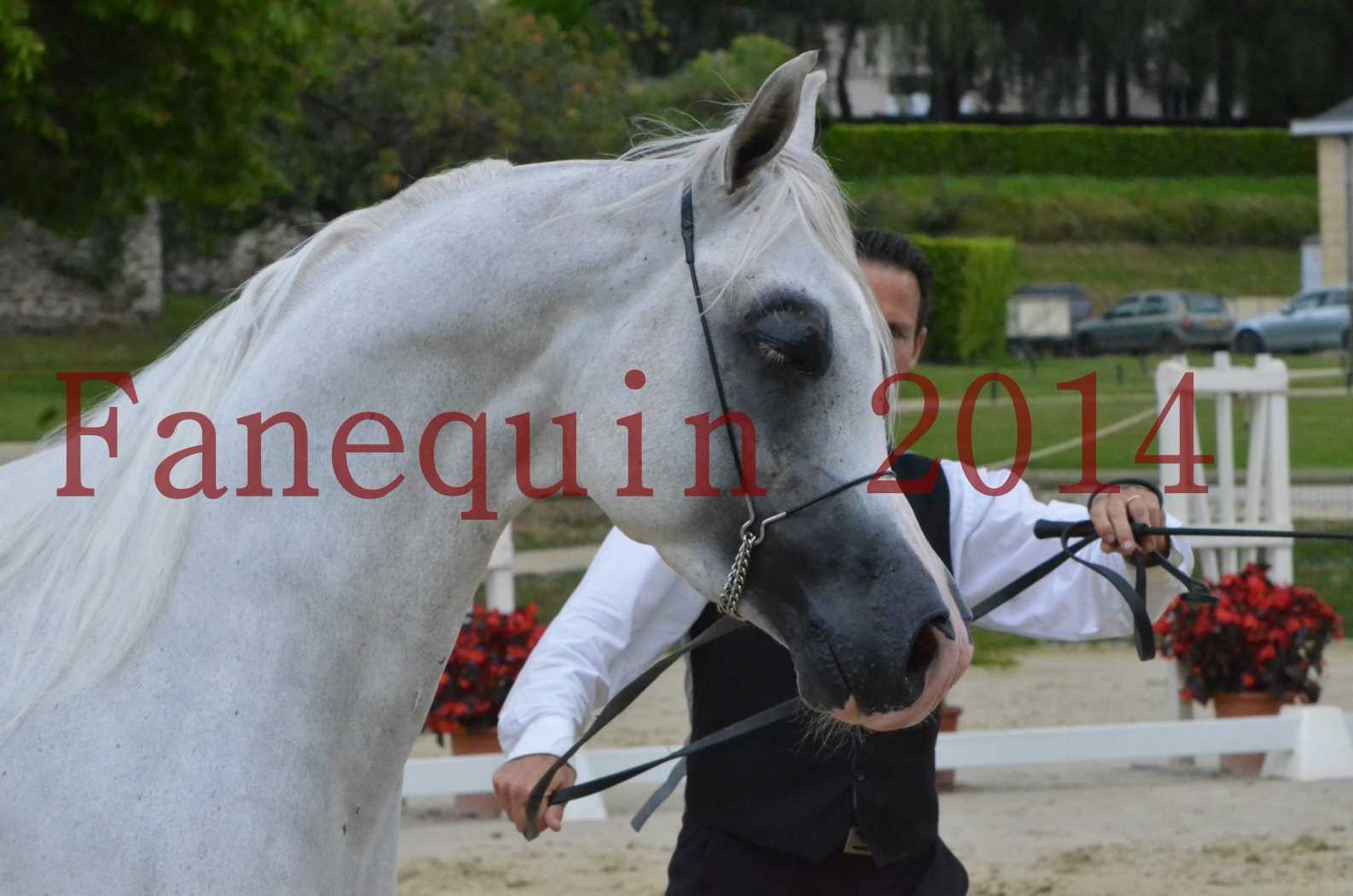 CHAMPIONNAT DE FRANCE 2014 A POMPADOUR - Sélection - FA STARLIGHT - 02