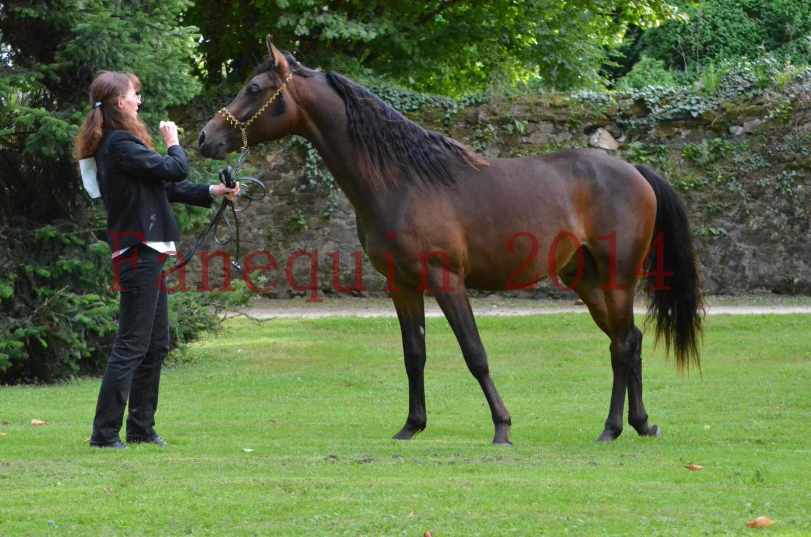 Championnat de FRANCE 2014 - Amateurs - JA KHALEB - 50