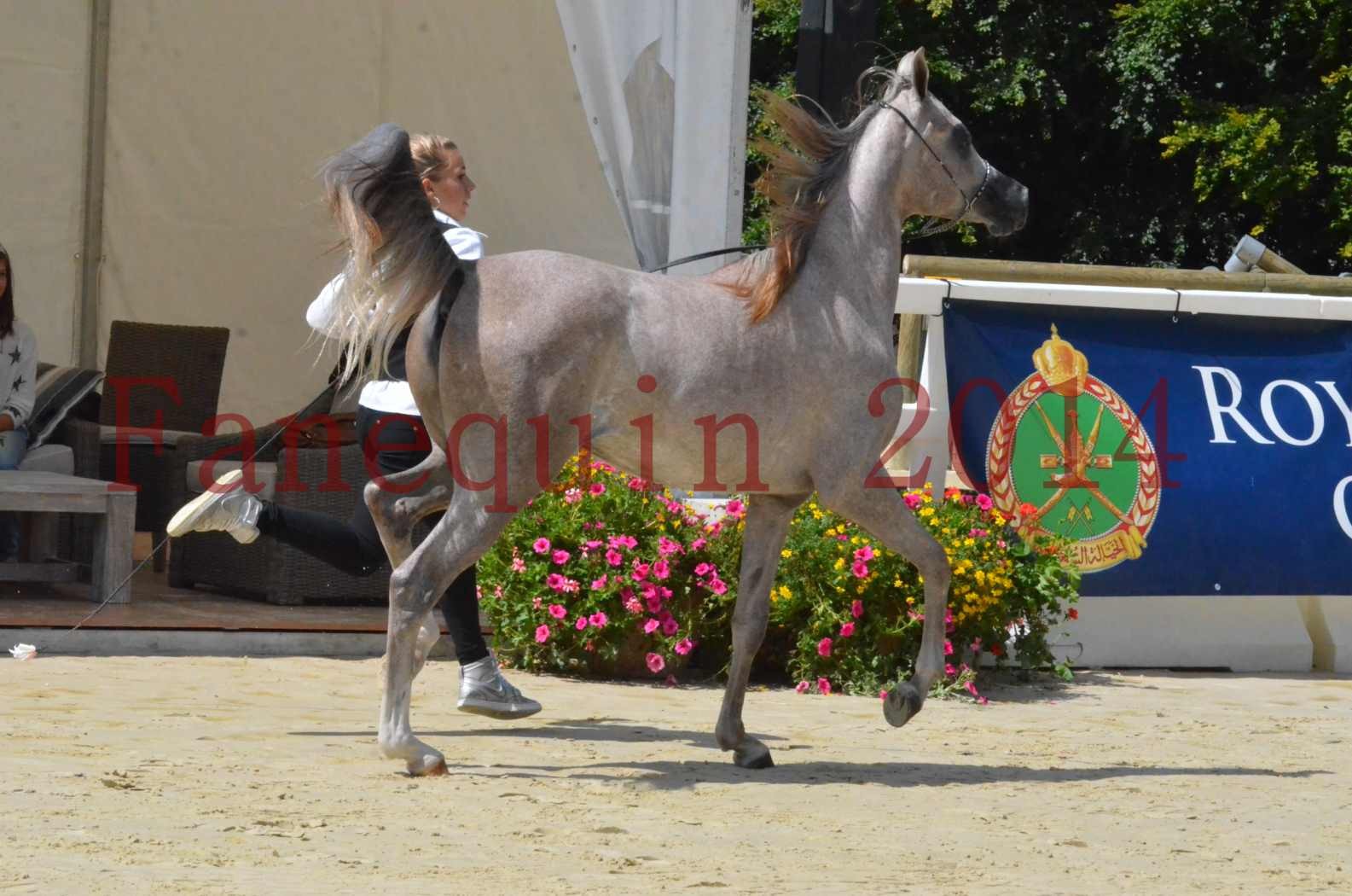 Championnat de FRANCE 2014 - Amateurs - SANA ISHANE - 25